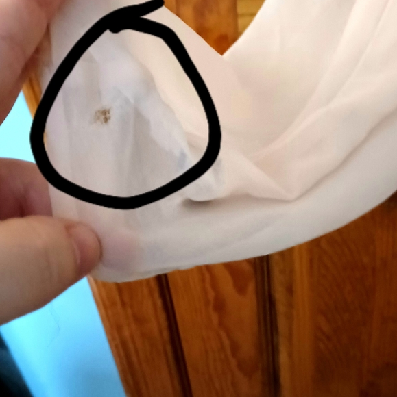 Express Sequin Sheer top - Picture 3 of 6